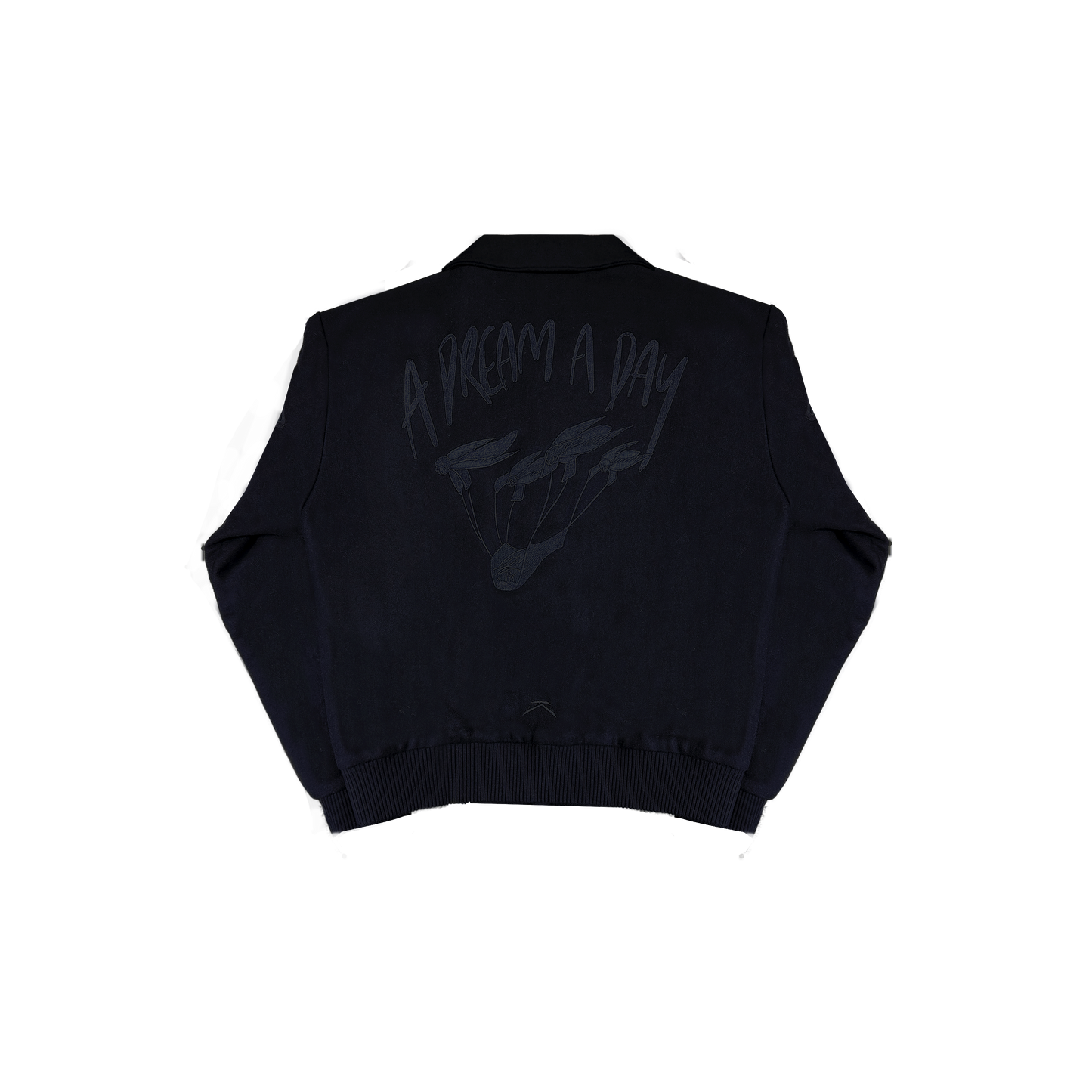 DREAMERS STORM VARSITY